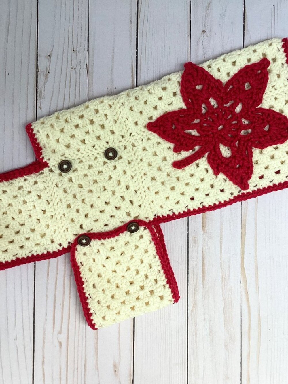 Handmade Crocheted Dog Coat with Fall Maple Leaves (Size Small/Medium)
